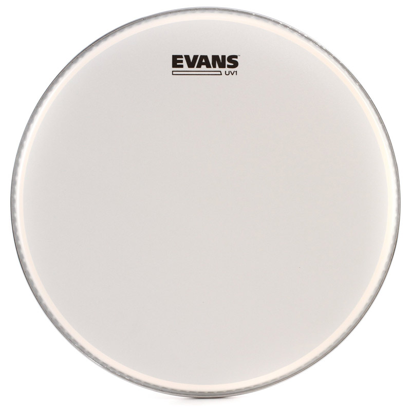 Evans B16UV1 16 Inch UV1 Drum Head (NEW)